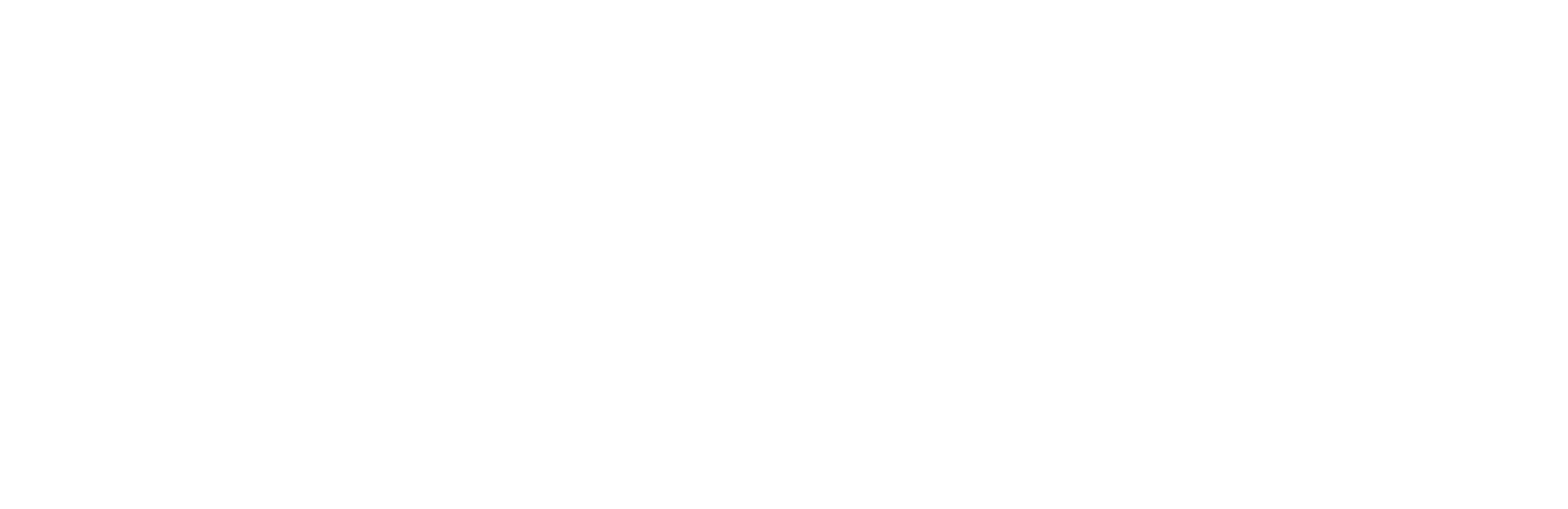 Dentipak